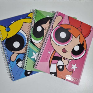 CADERNO MENINAS SUPER PODEROSAS 1M